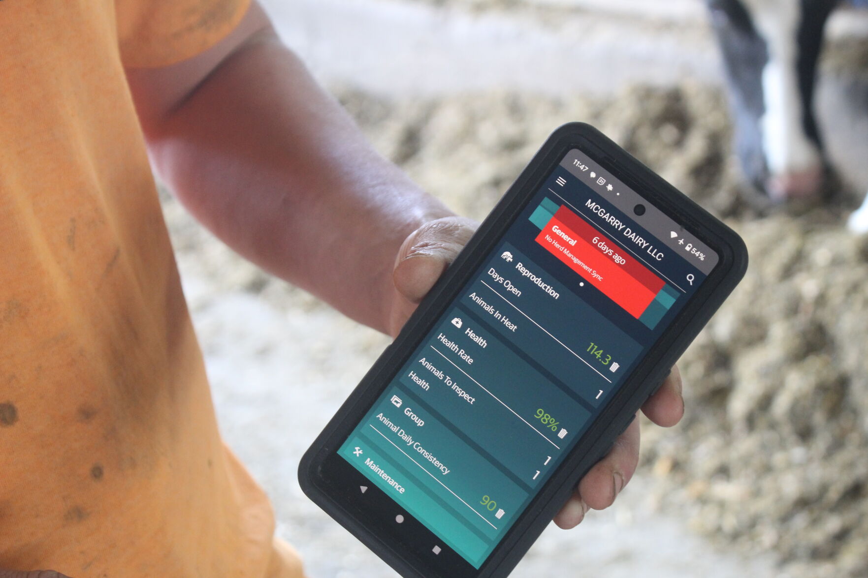 McGarry Dairy Farm explores the new technology